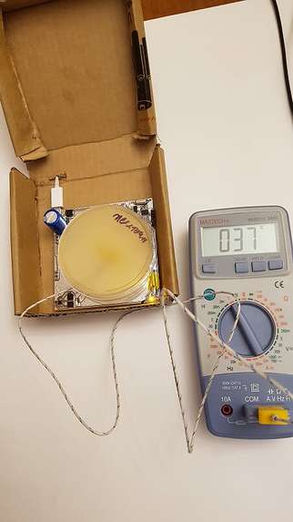 AESTOUS – screenshot 1