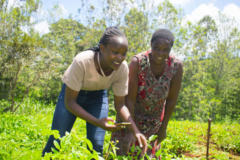 Plant Signal – screenshot 1