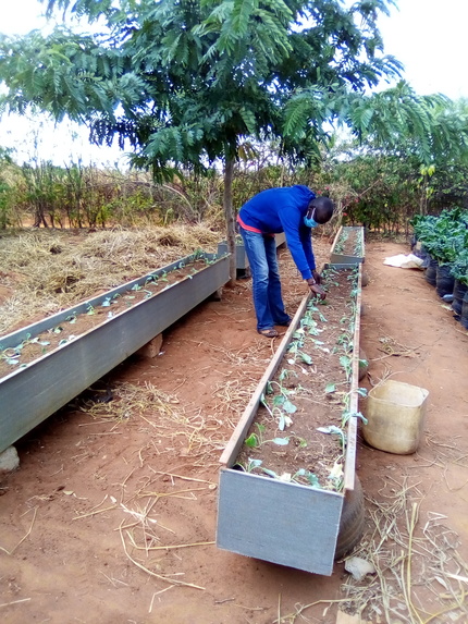 S KITCHEN GARDEN (EAT MORE GREENS KEEP HEALTHY CAMPAIGN)   – screenshot 4