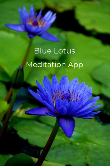 Blue Lotus Meditation App – screenshot 1