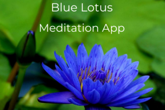 Blue Lotus Meditation App