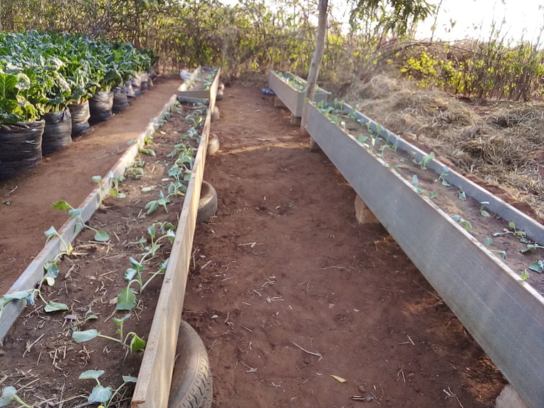 WATER EFFICIENT HYDROPONICS KITCHEN GARDEN PROJECT. – screenshot 3