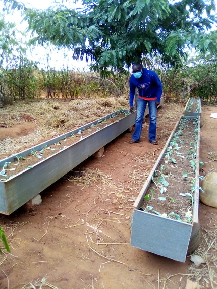 WATER EFFICIENT HYDROPONICS KITCHEN GARDEN PROJECT. – screenshot 8