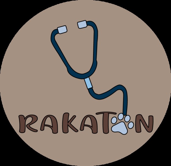 Rakatón – screenshot 1