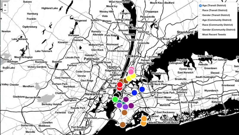 NYPD Fare Evasion Enforcement – screenshot 1