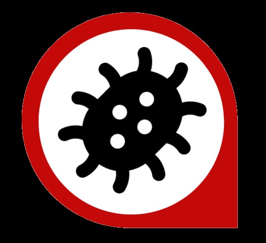 CO-VIDA-PP – screenshot 1