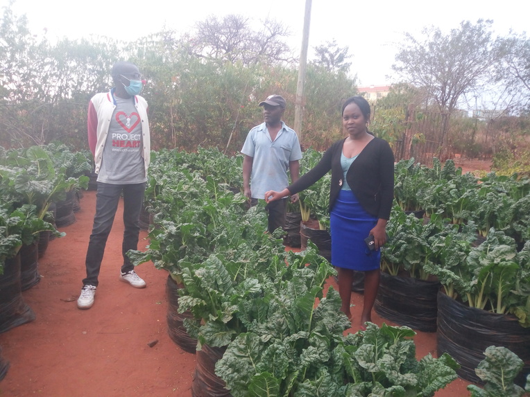 WATER EFFICIENT HYDROPONICS KITCHEN GARDEN PROJECT. – screenshot 10