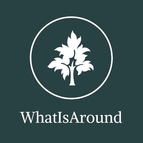 WhatIsAround – screenshot 1