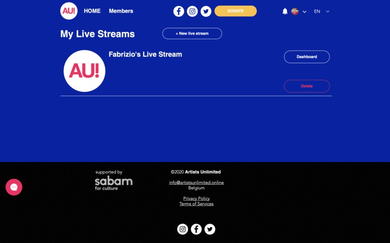 Artists Unlimited – screenshot 12