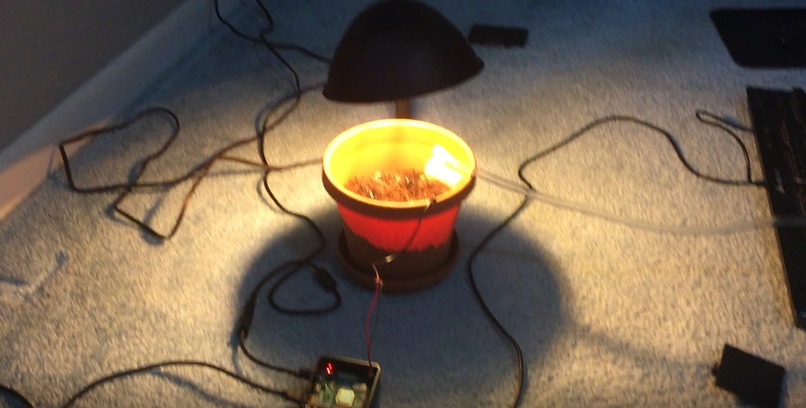 FastTrack Gardens – screenshot 3