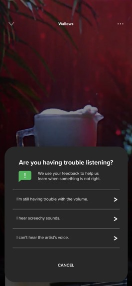 SoundFULL Streams – screenshot 6