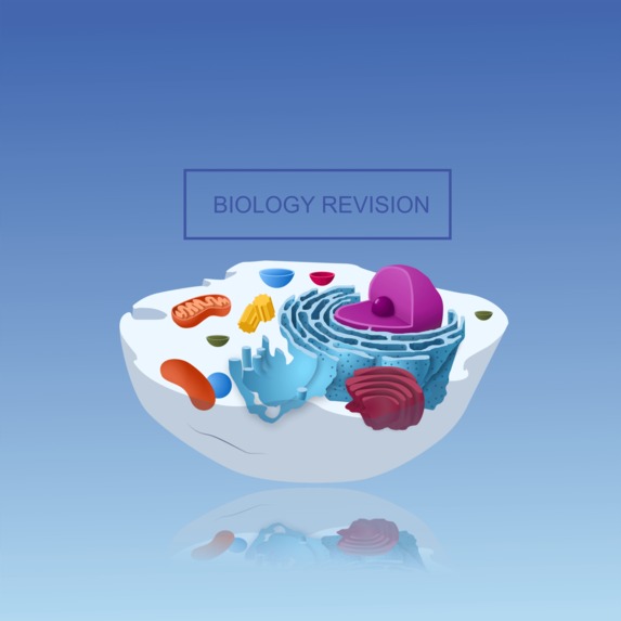 BioRevision – screenshot 1