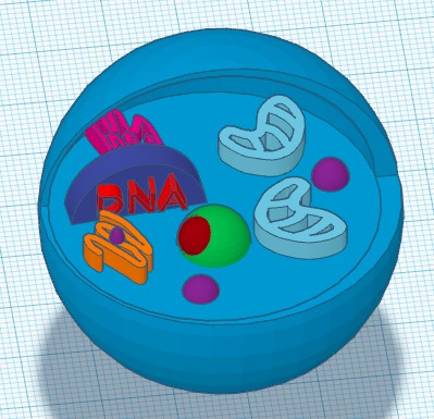 Cell Phriend  – screenshot 1