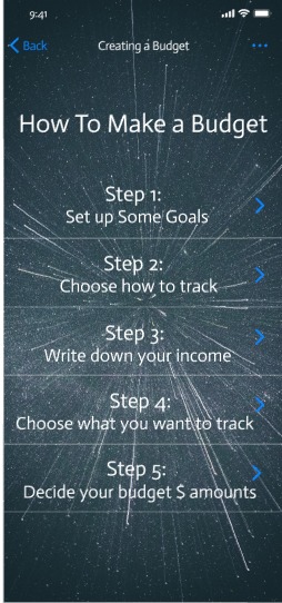 To Budget and Beyond – screenshot 2