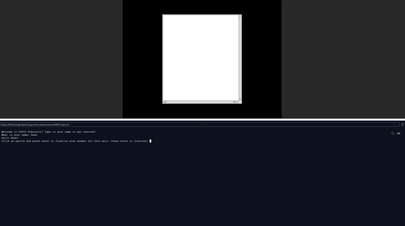 COVID Simulation – screenshot 1
