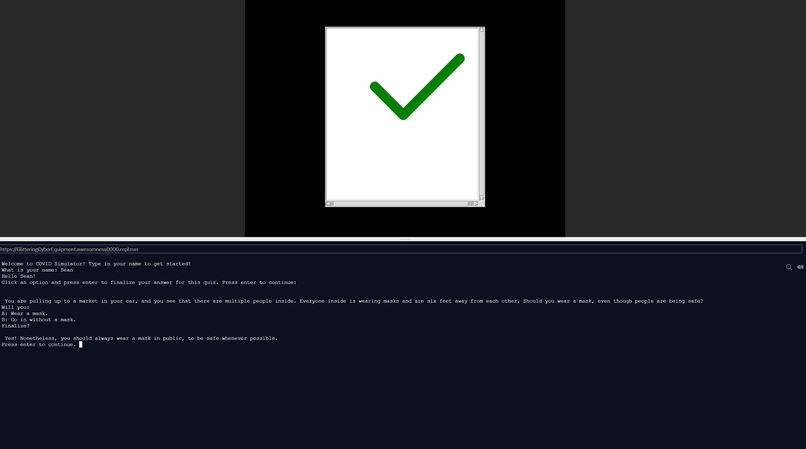 COVID Simulation – screenshot 2