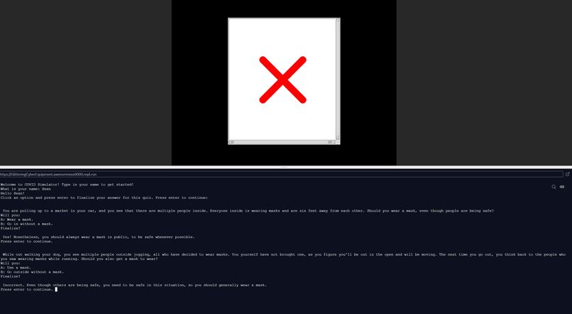 COVID Simulation – screenshot 3