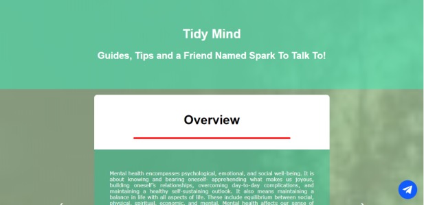 Tidy Mind – screenshot 1