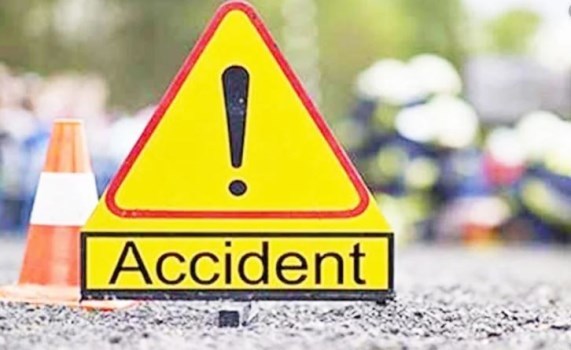 Incarnate: An Ecosystem - Magnum Brain, 39 – screenshot 17