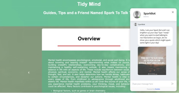 Tidy Mind – screenshot 7