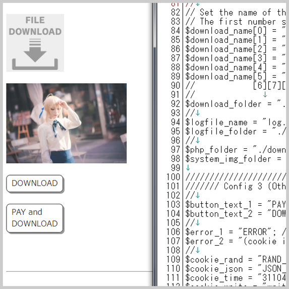 Downloader SV for WordPress (Beta 1) – screenshot 1