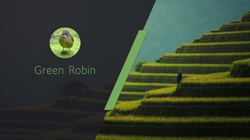 Green Robin – screenshot 1
