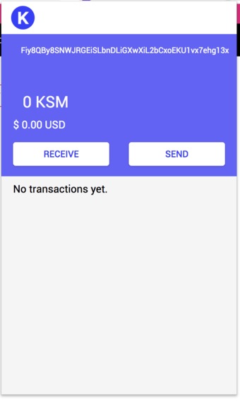 Kusama Wallet – screenshot 5