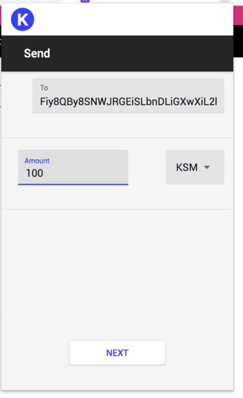 Kusama Wallet – screenshot 6