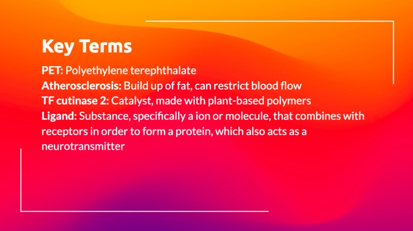 Plastic Perish – screenshot 3