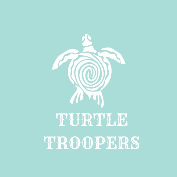 Turtle Troopers – screenshot 1
