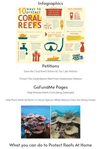 Save the Reefs – screenshot 4