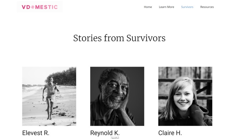 vdomestic – screenshot 6