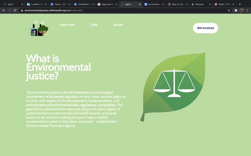 Environmental Justice Now – screenshot 3