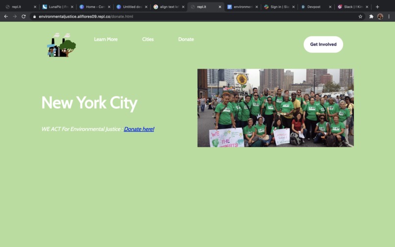 Environmental Justice Now – screenshot 5