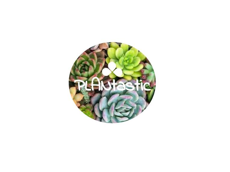  PLANTastic – screenshot 1