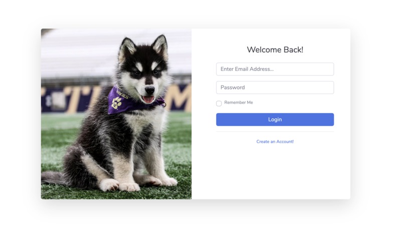 Buddy Finder – screenshot 4