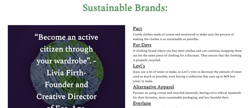 Eco Style – screenshot 6