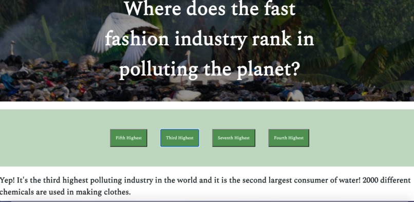 Eco Style – screenshot 8