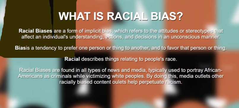 Racial Bias AI – screenshot 3