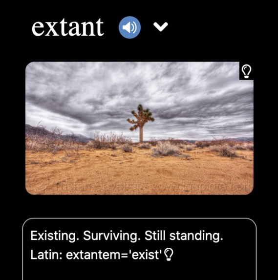 Structured Language Corp: SLictionary & Word Bounty – screenshot 4