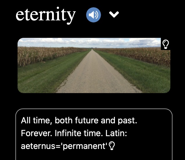 Structured Language Corp: SLictionary & Word Bounty – screenshot 5