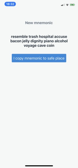 Parking SV – screenshot 3