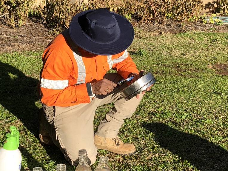 Killing mosquitos with Cashews shells and water fountains – screenshot 1