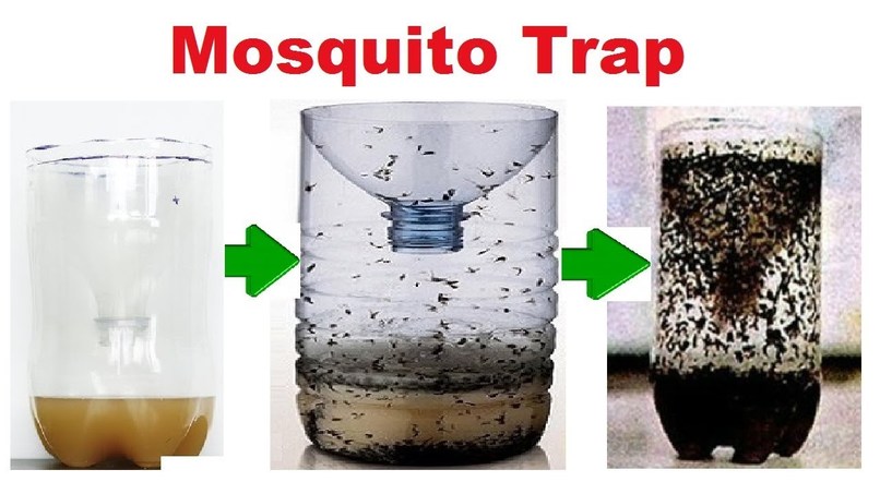 Mozzie Trap – screenshot 1