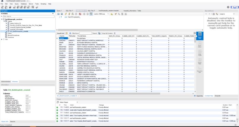 CoVID-19 ICU Bed Projection and Allocation – screenshot 5