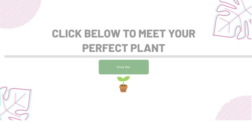 The Right Plant For Me – screenshot 3