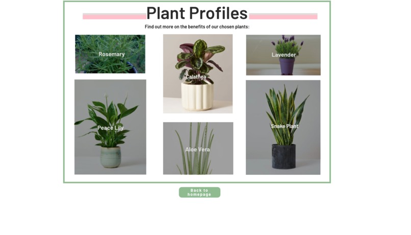 The Right Plant For Me – screenshot 4