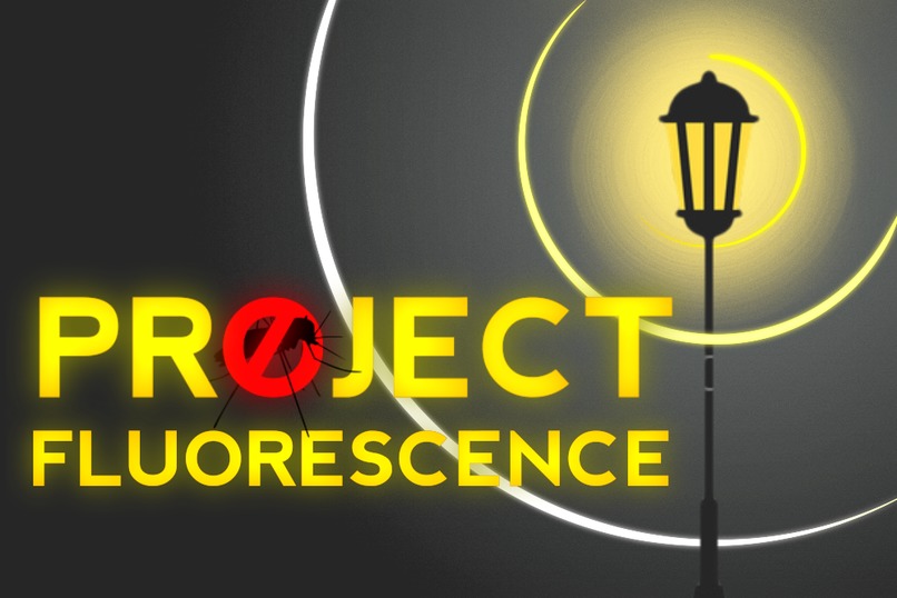 Project Fluorescence – screenshot 1