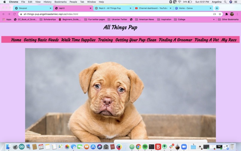 All-Things-Pup – screenshot 5