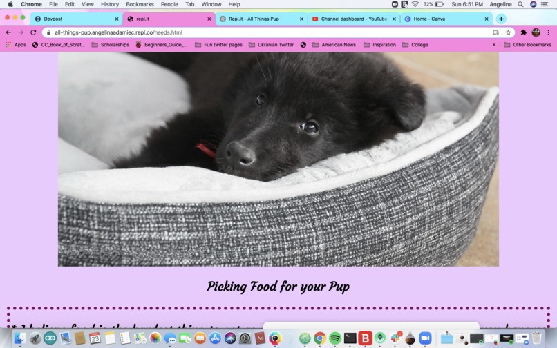 All-Things-Pup – screenshot 7